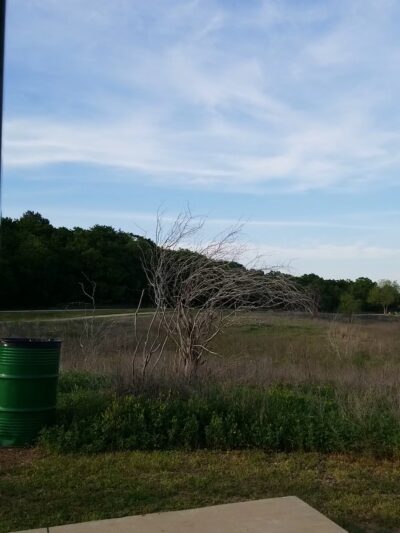 Horseshoe Trail Bench - Snakey Ln. - Grapevine, TX