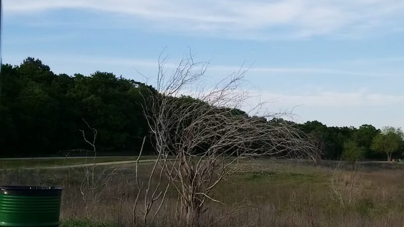 Horseshoe Trail Bench - Snakey Ln. - Grapevine, TX