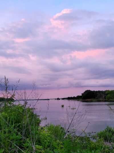 Horseshoe Trail Bench - Snakey Ln. - Grapevine, TX