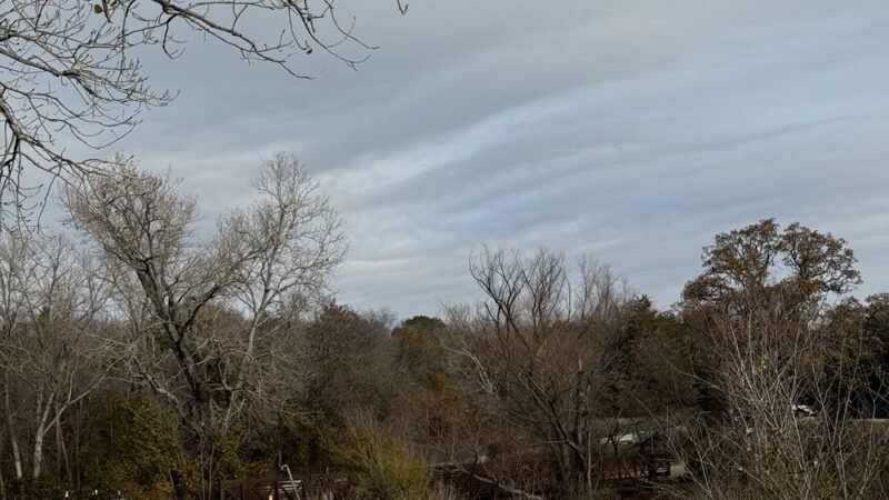 Horseshoe Trail Bench - Snakey Ln. - Grapevine, TX