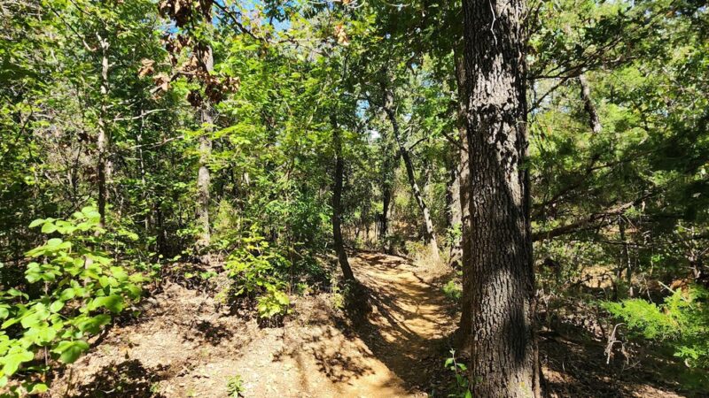 Horseshoe Trails Park - Grapevine, TX