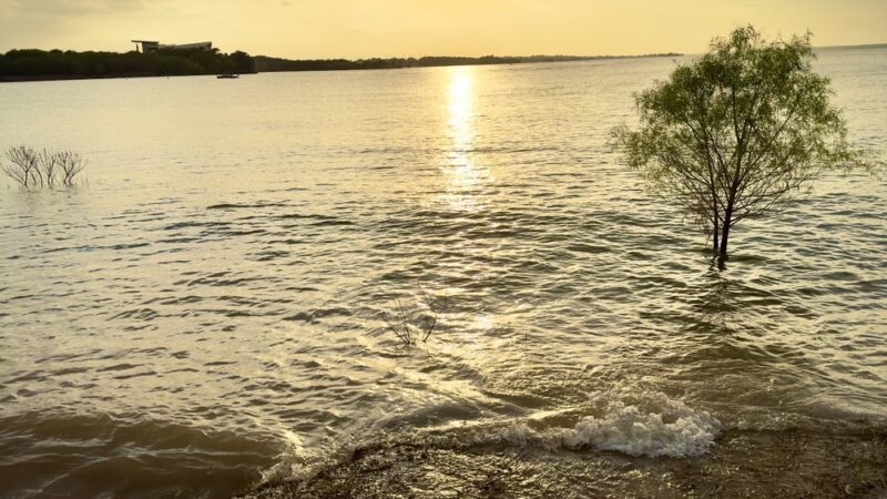 Mariner Point Park - Grapevine, TX