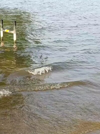 Oak Grove Park - Grapevine, TX