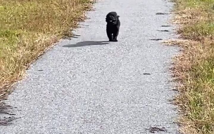 Gray Court Community Park - Gray Court, SC