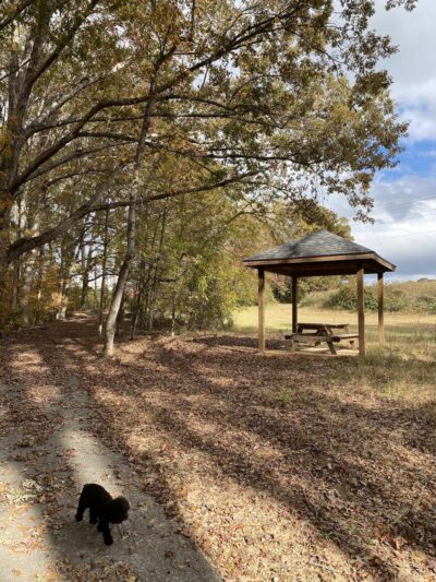 Gray Court Community Park - Gray Court, SC