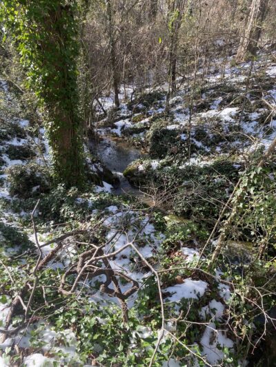 Gray Court Community Park - Gray Court, SC