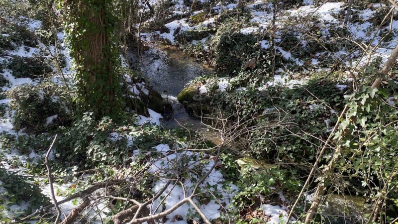 Gray Court Community Park - Gray Court, SC