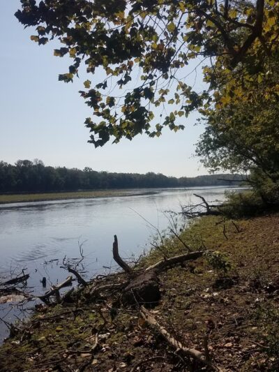 Memorial Park - Grayville, IL