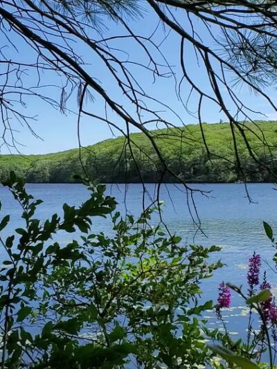Benedict Pond Loop - Great Barrington, MA