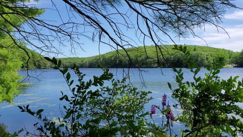 Benedict Pond Loop - Great Barrington, MA