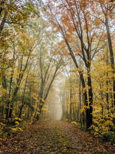 Benedict Pond Loop - Great Barrington, MA