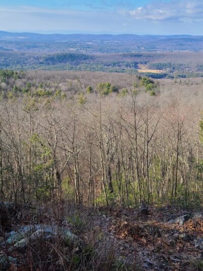 Benedict Pond Loop - Great Barrington, MA