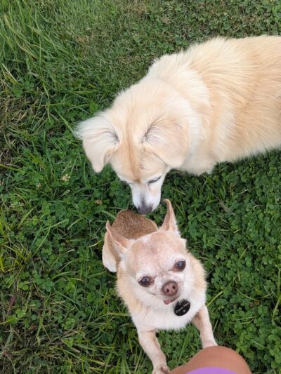 Great Bend Park - Great Bend, PA