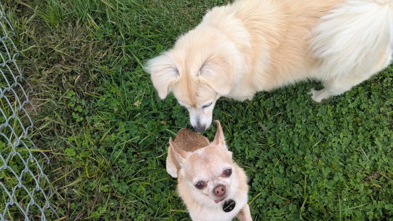 Great Bend Park - Great Bend, PA