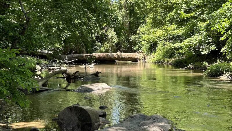 Dave’s Lookout - Great Falls, VA