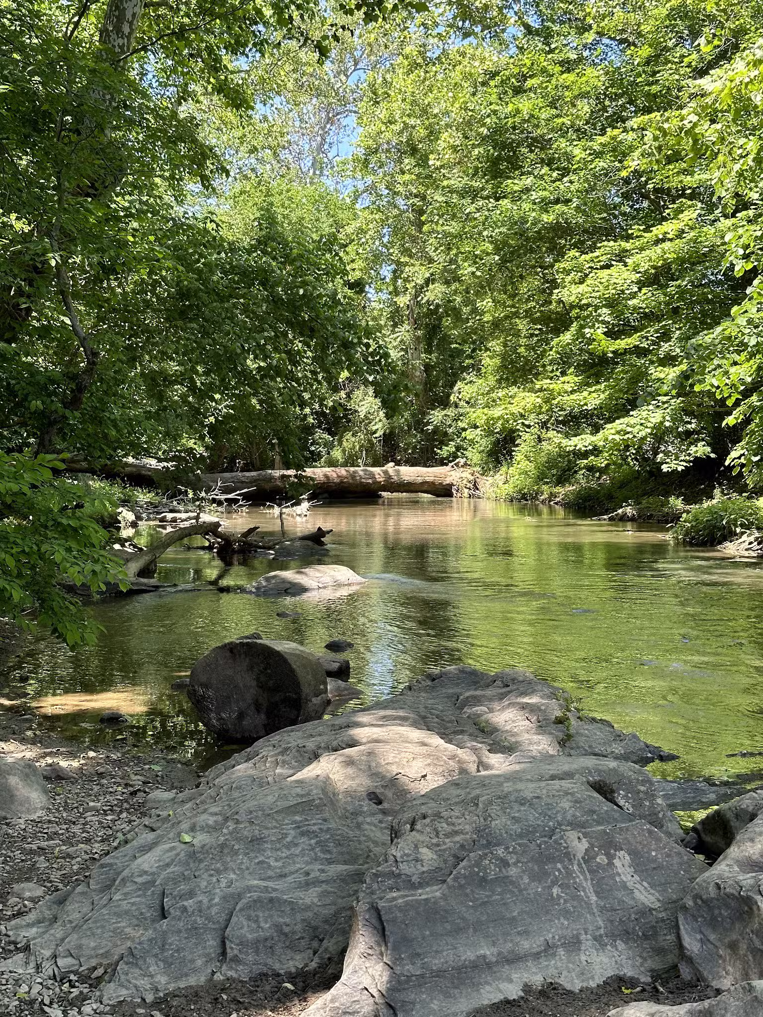 Dave’s Lookout - Great Falls, VA