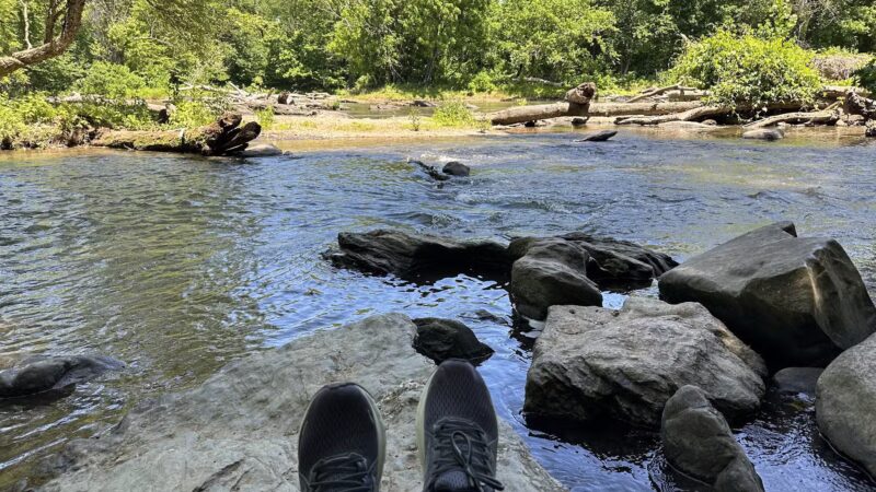 Dave’s Lookout - Great Falls, VA