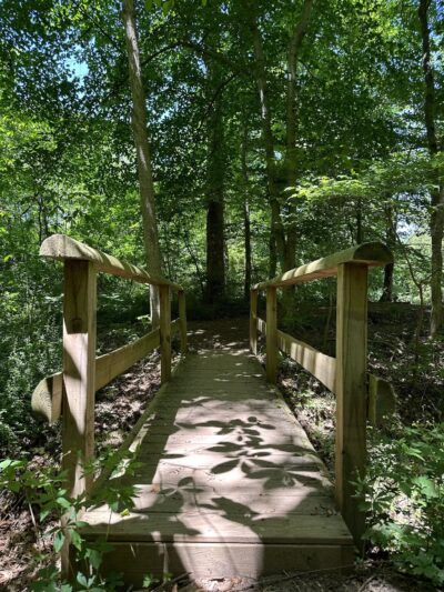 Dave’s Lookout - Great Falls, VA