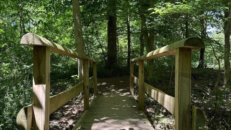 Dave’s Lookout - Great Falls, VA