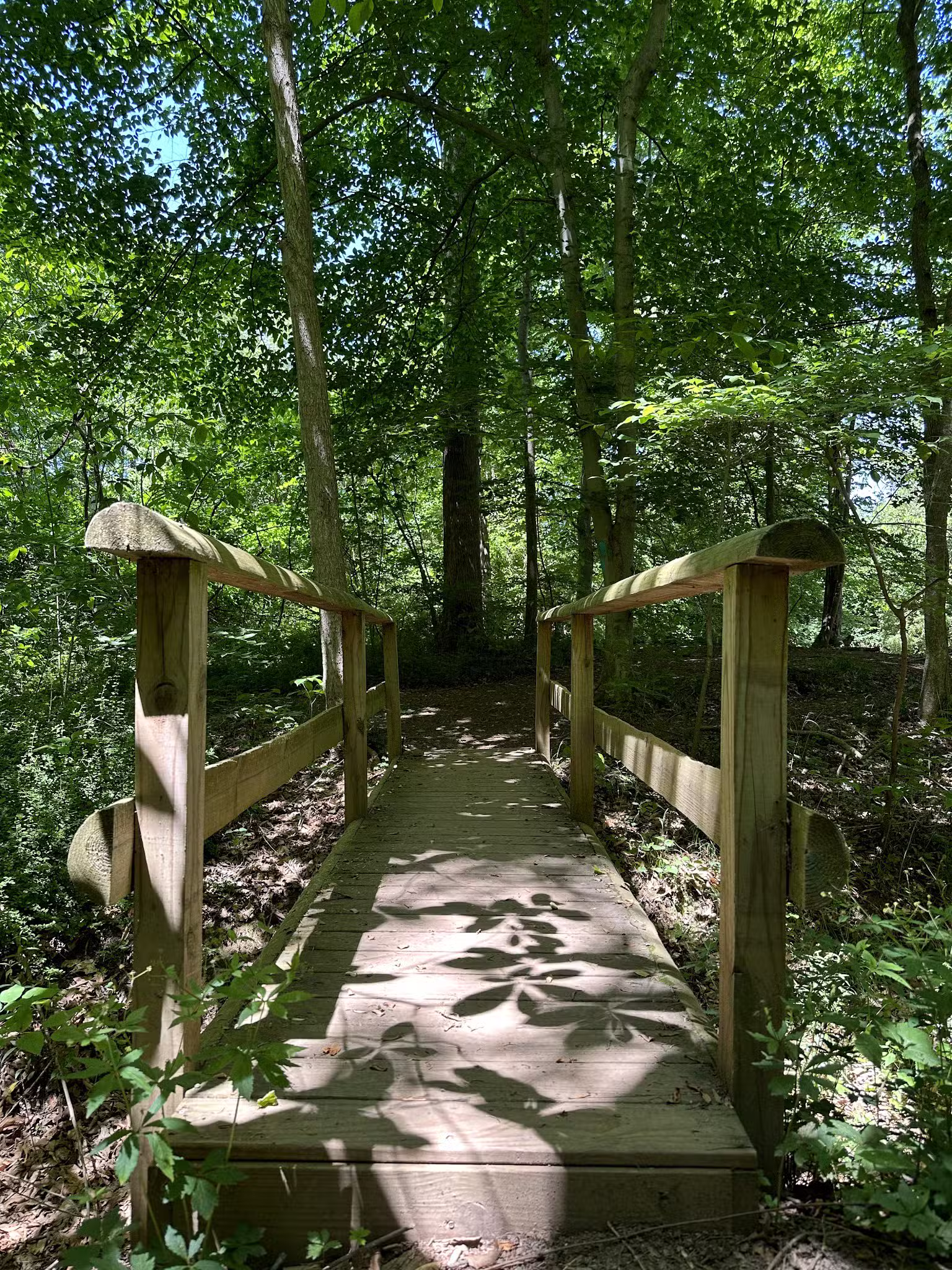 Dave’s Lookout - Great Falls, VA