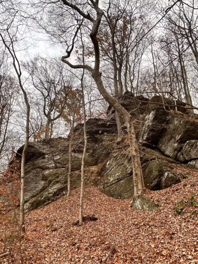 Dave’s Lookout - Great Falls, VA