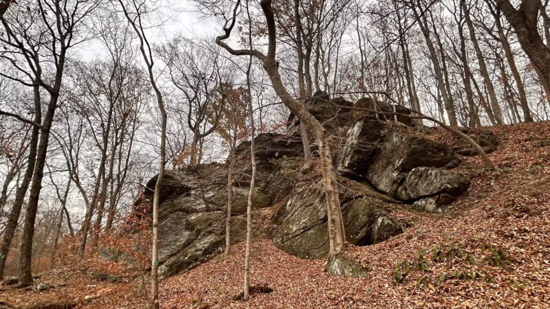 Dave’s Lookout - Great Falls, VA