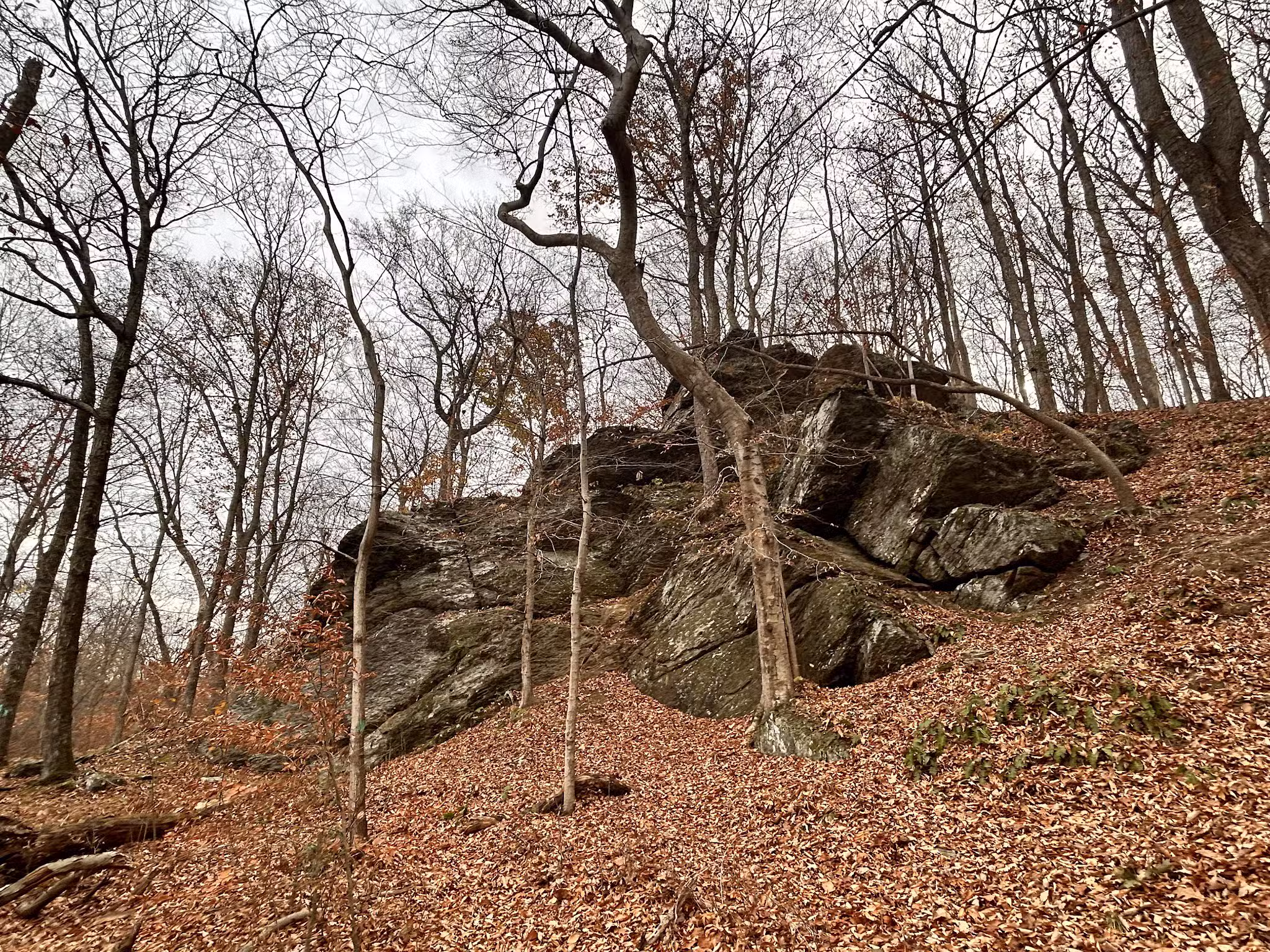 Dave’s Lookout - Great Falls, VA