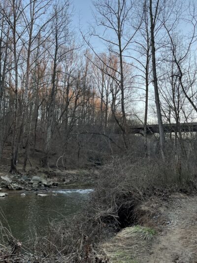 Difficult Run Stream Valley Park - Great Falls, VA