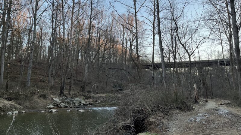 Difficult Run Stream Valley Park - Great Falls, VA