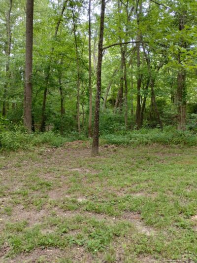 Great Mills Canoe & Kayak Launch - Great Mills, MD