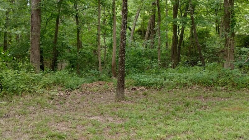 Great Mills Canoe & Kayak Launch - Great Mills, MD