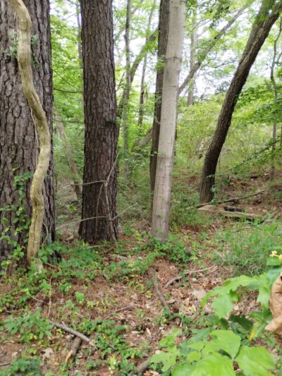 Great Mills Canoe & Kayak Launch - Great Mills, MD