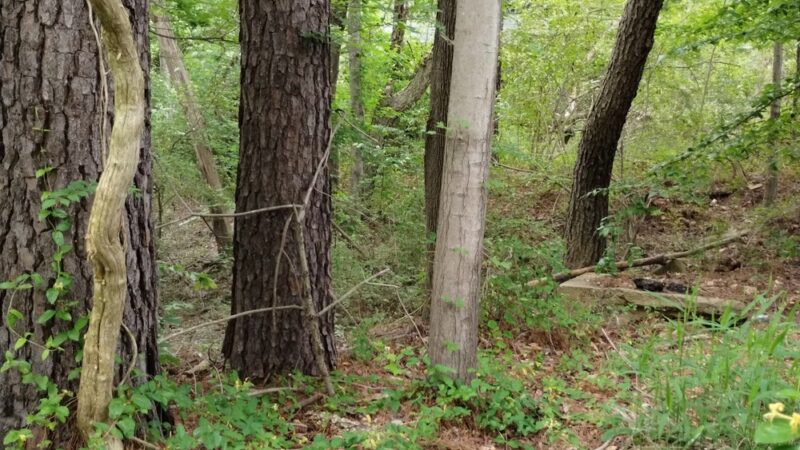 Great Mills Canoe & Kayak Launch - Great Mills, MD