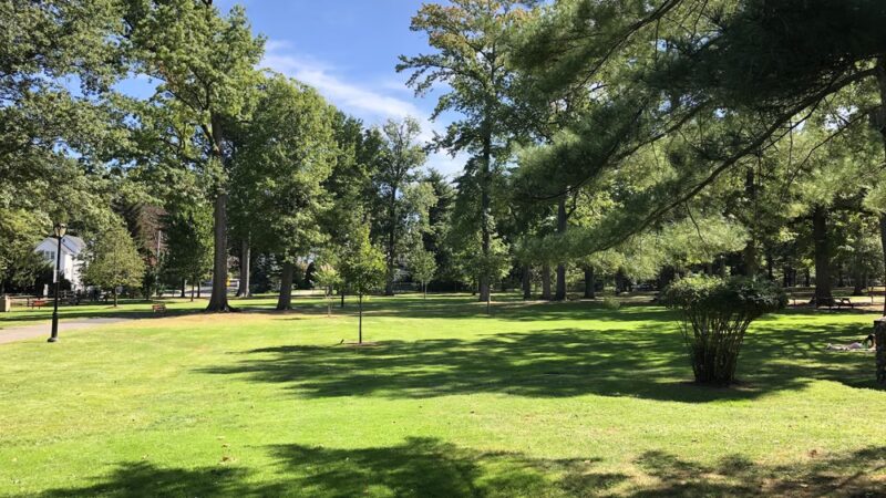 Allenwood Park - Great Neck, NY