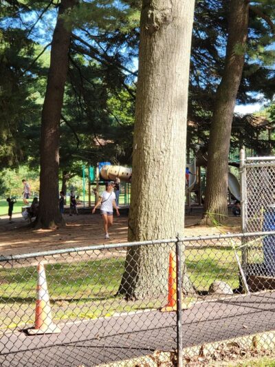 Allenwood Park - Great Neck, NY