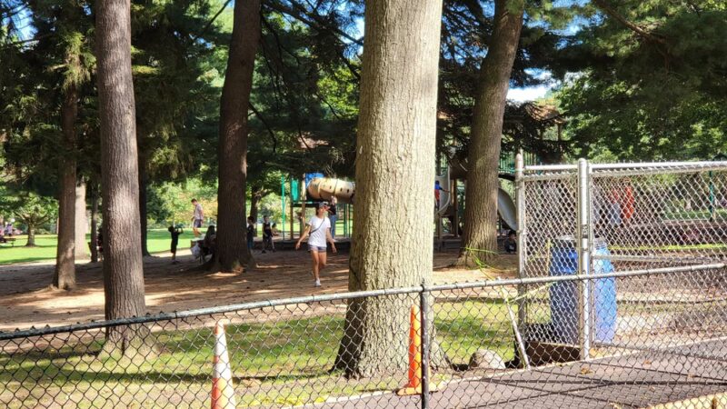 Allenwood Park - Great Neck, NY