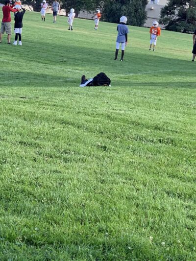 Brentwood Park - Greeley, CO