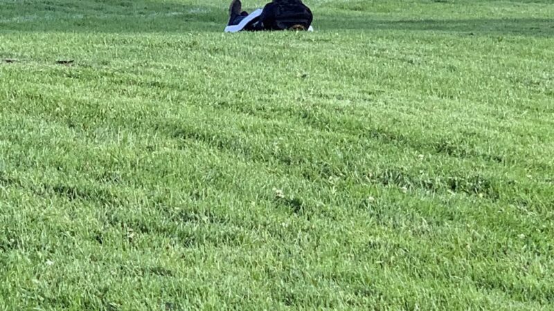 Brentwood Park - Greeley, CO