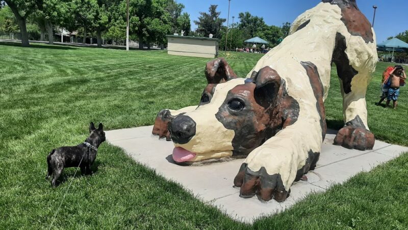 Dog statue - Greeley, CO