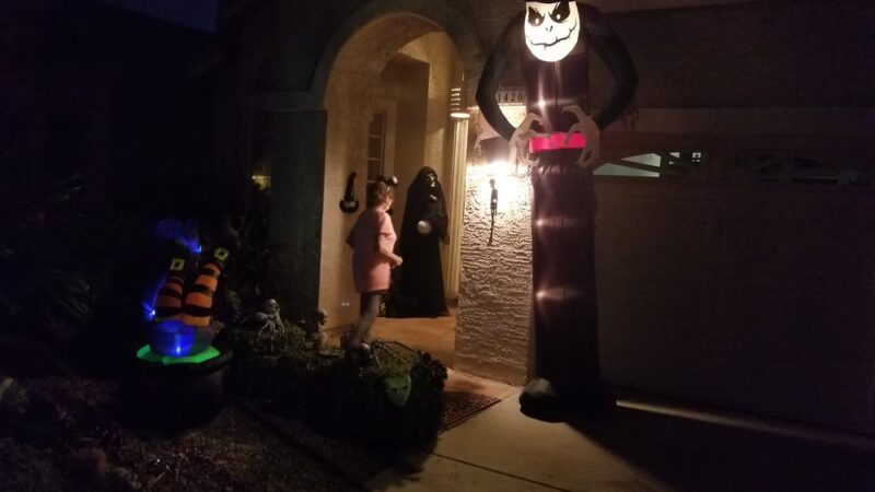 Dog statue - Greeley, CO