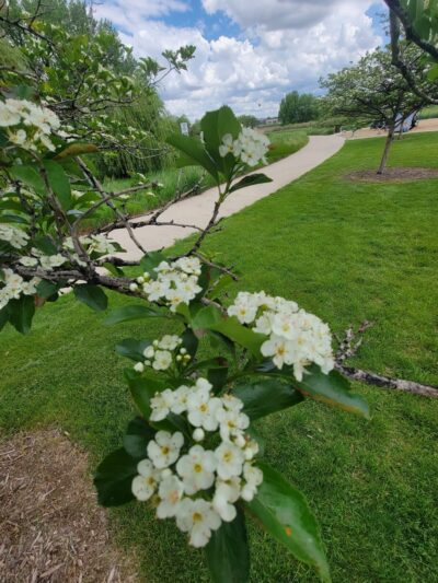 Greeley West Park - Greeley, CO