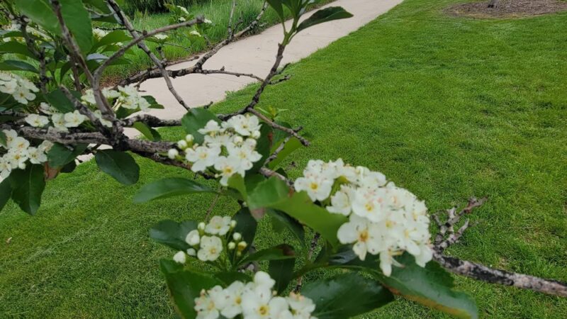 Greeley West Park - Greeley, CO
