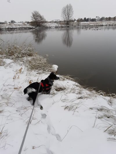 Greeley West Park - Greeley, CO