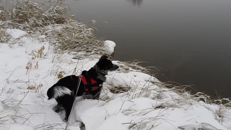 Greeley West Park - Greeley, CO