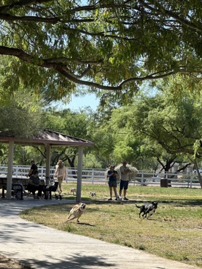 Quail Creek Dog Park - Green Valley, AZ