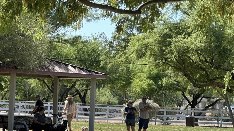 Quail Creek Dog Park - Green Valley, AZ