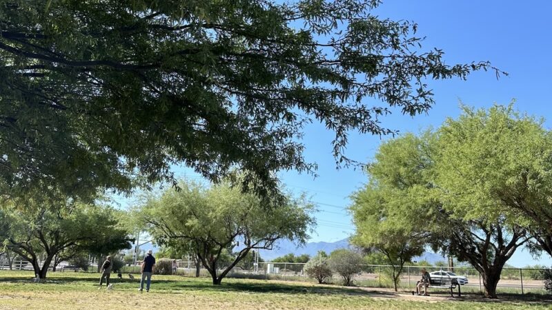 Quail Creek Dog Park - Green Valley, AZ