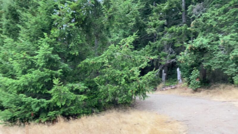 Greenbank Off-Leash Area - Greenbank, WA