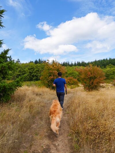 Greenbank Off-Leash Area - Greenbank, WA