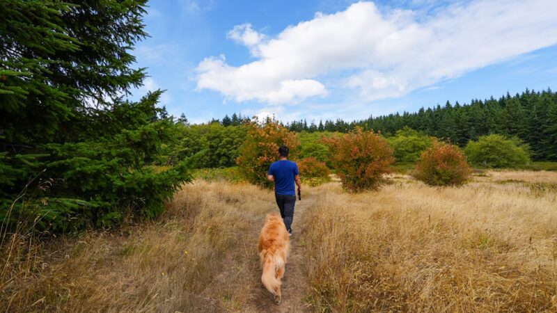 Greenbank Off-Leash Area - Greenbank, WA